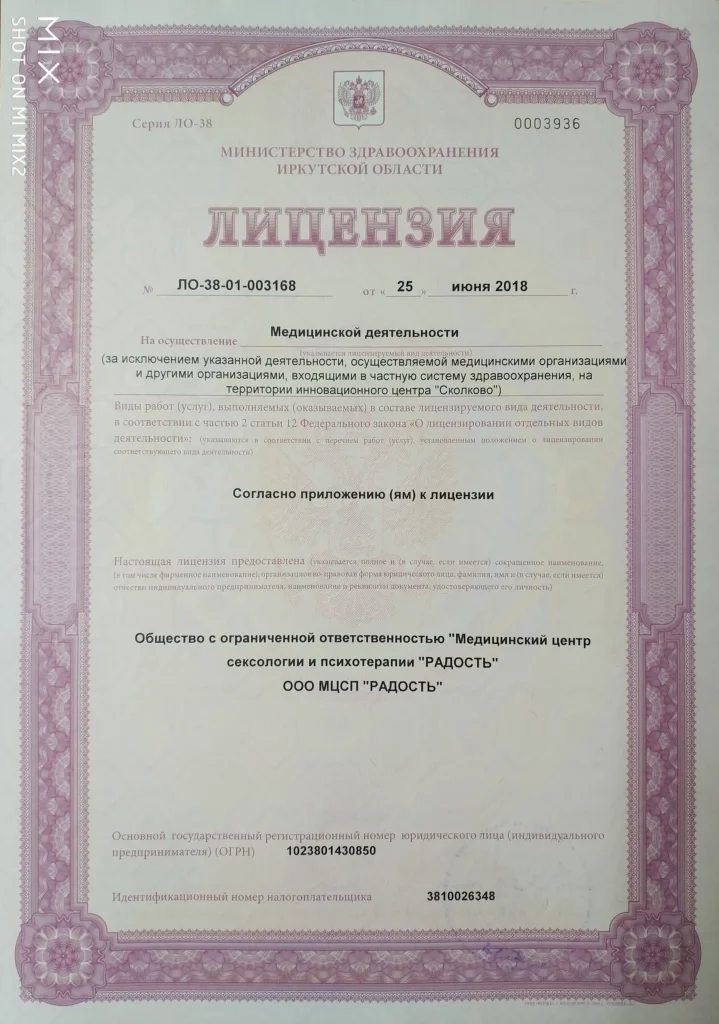 Лицензия на медицинскую деятельность ЛО-38-01-003168, титульная страница